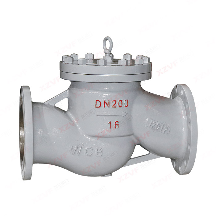 National standard flange lift check valve