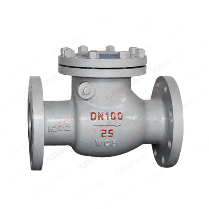 National standard flange swing check valve