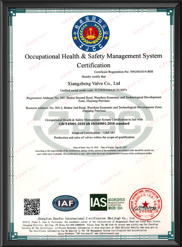 Occupational Health & Safety Management System Certification